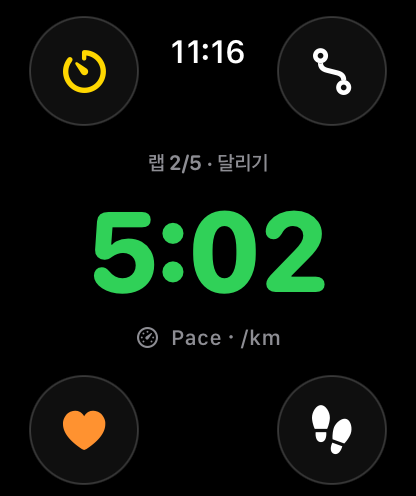 Apple Watch 구조화 훈련 가이드